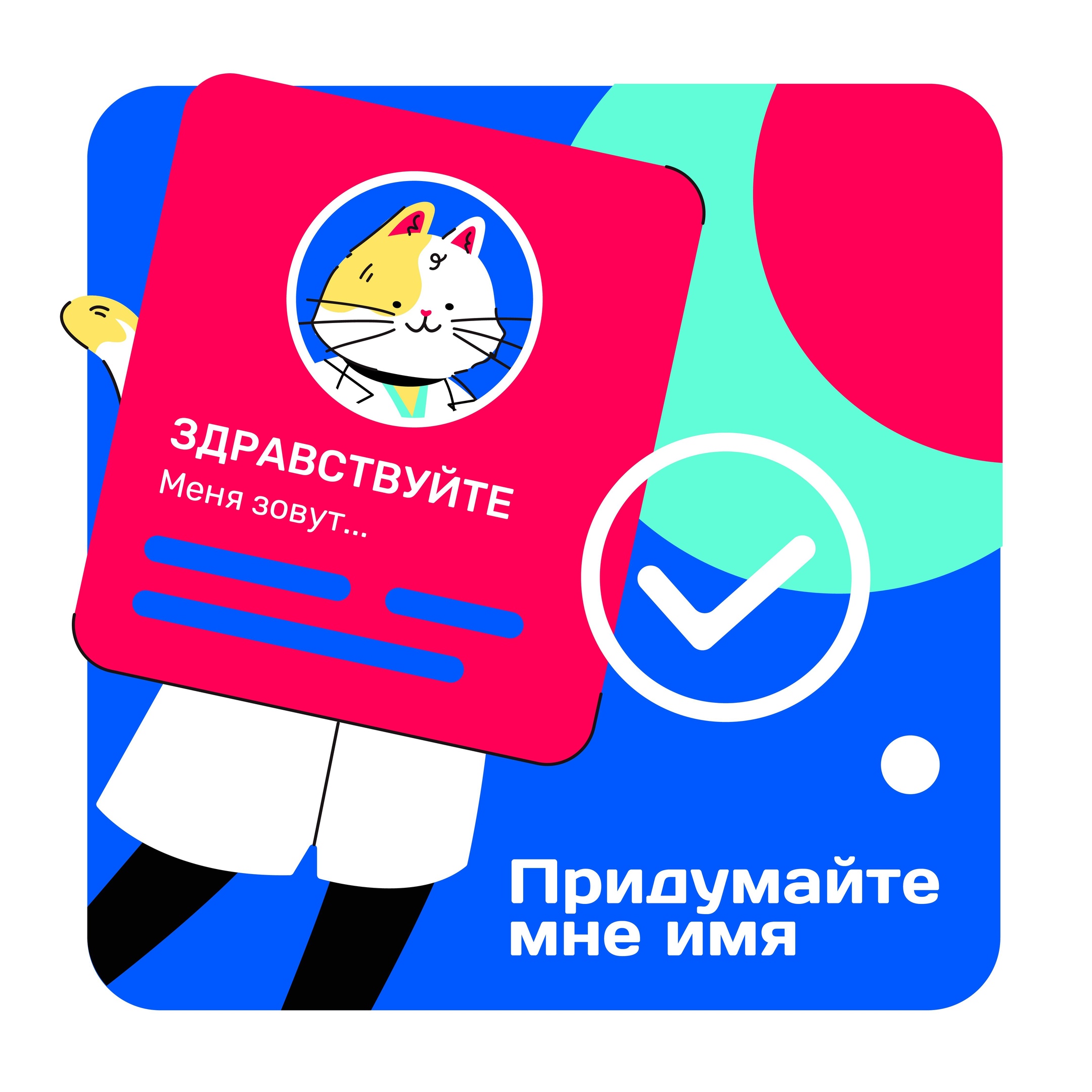 Конкурс на выбор имени нашему Котику объявляется открытым!