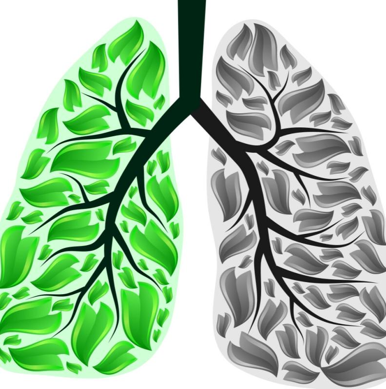 Неделя отказа от табака