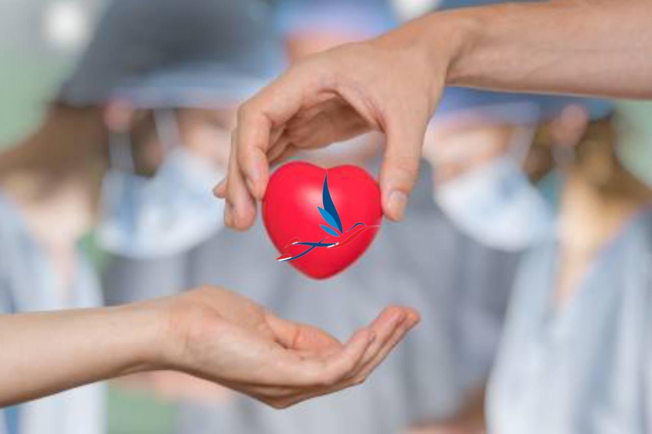 Медицина и доброта - понятия, которые неразрывно связаны друг с другом. Прежде всего, и то, и другое направлено на благо окружающих.