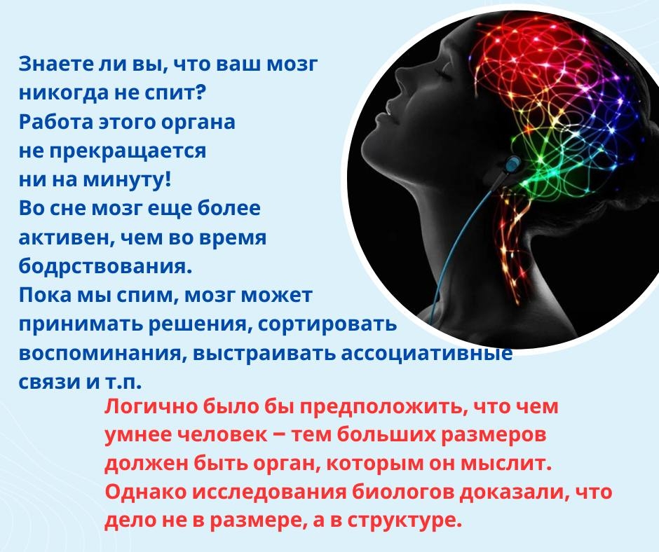 ☝Средний вес человеческого мозга — 1200-1400 грамм, при мозг взрослого кашалота достигает веса в 6 кг 800 г, но это не значит, что кит превосходит нас в уме.