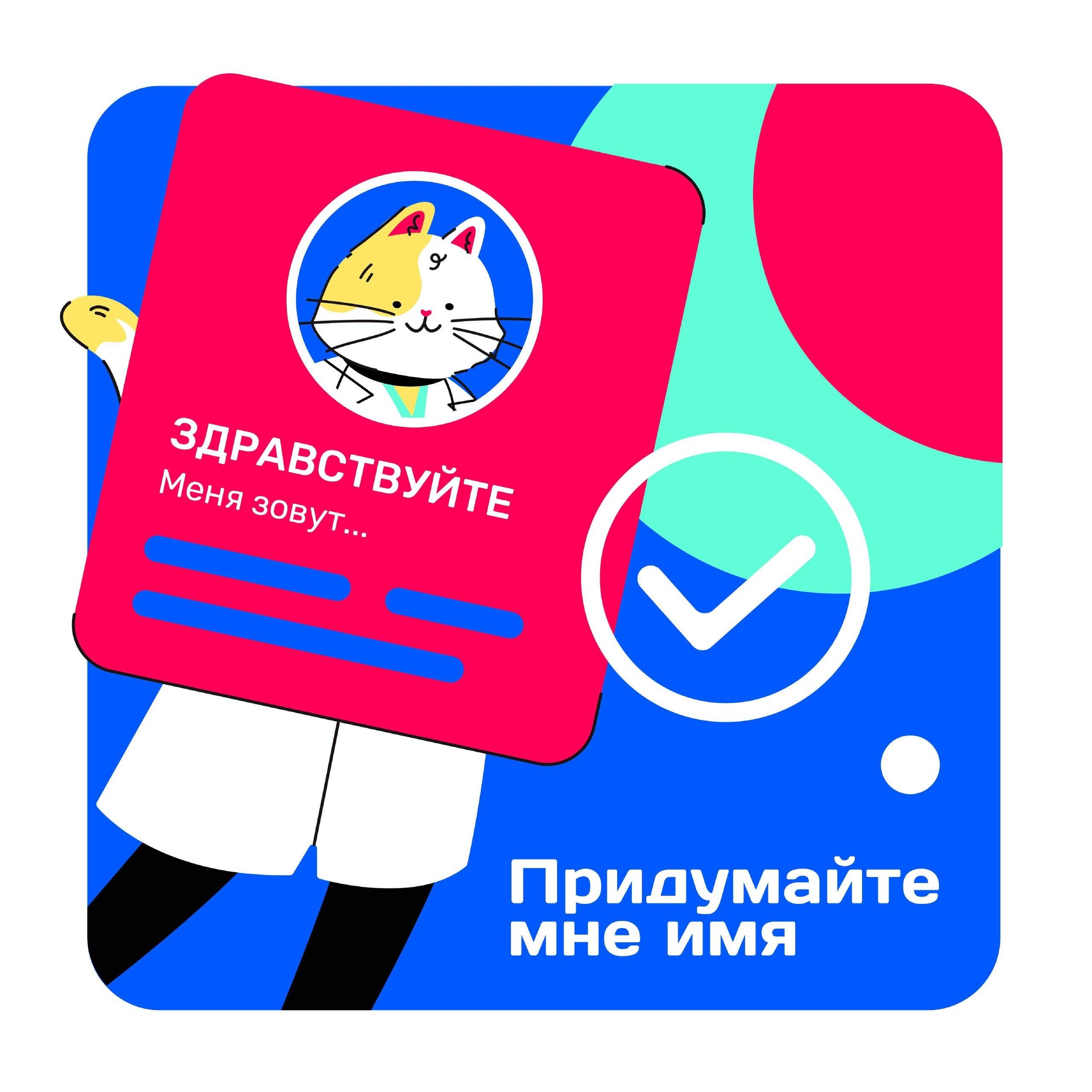 Завершается конкурс на выбор имени нашему Котику!