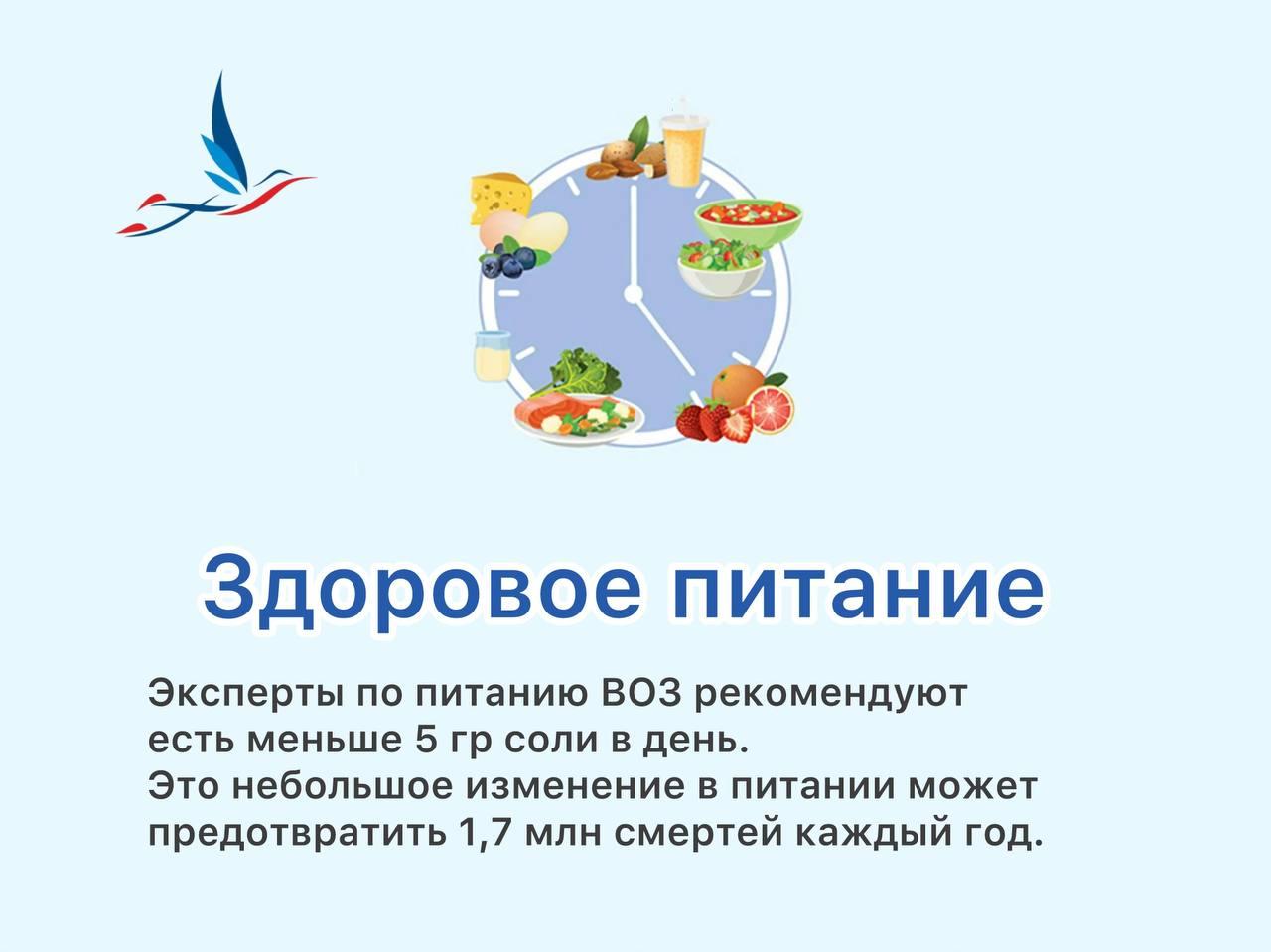 Здоровое питание — это не просто модное выражение, а основа для поддержания хорошего самочувствия и профилактики многих заболеваний.