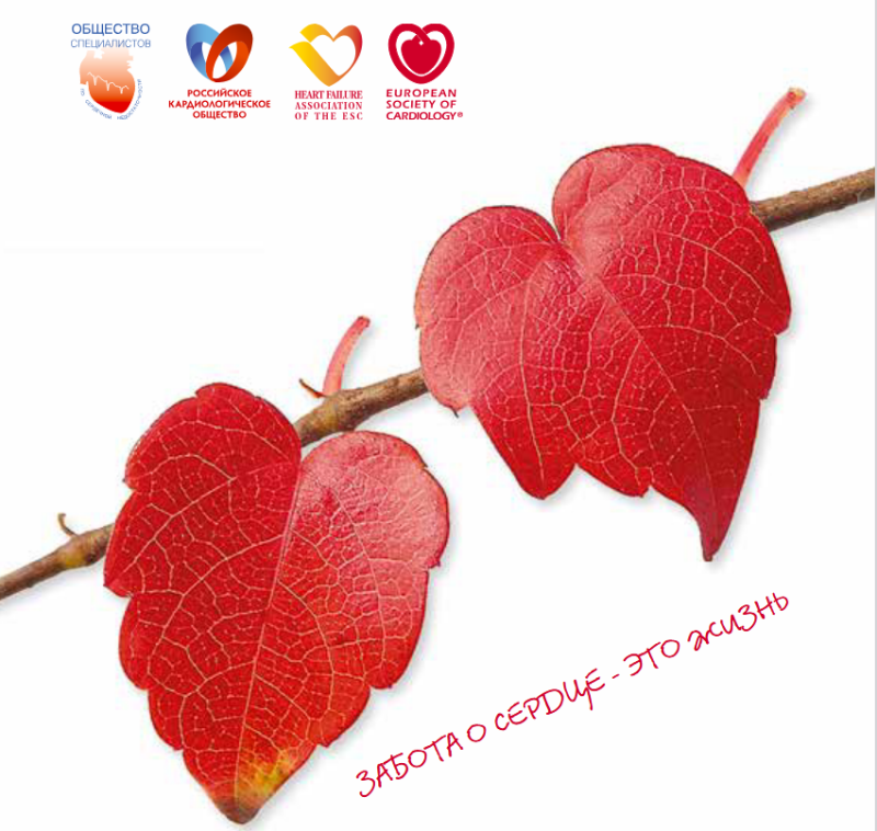 Сердечная недостаточность. Физическая активность пациента