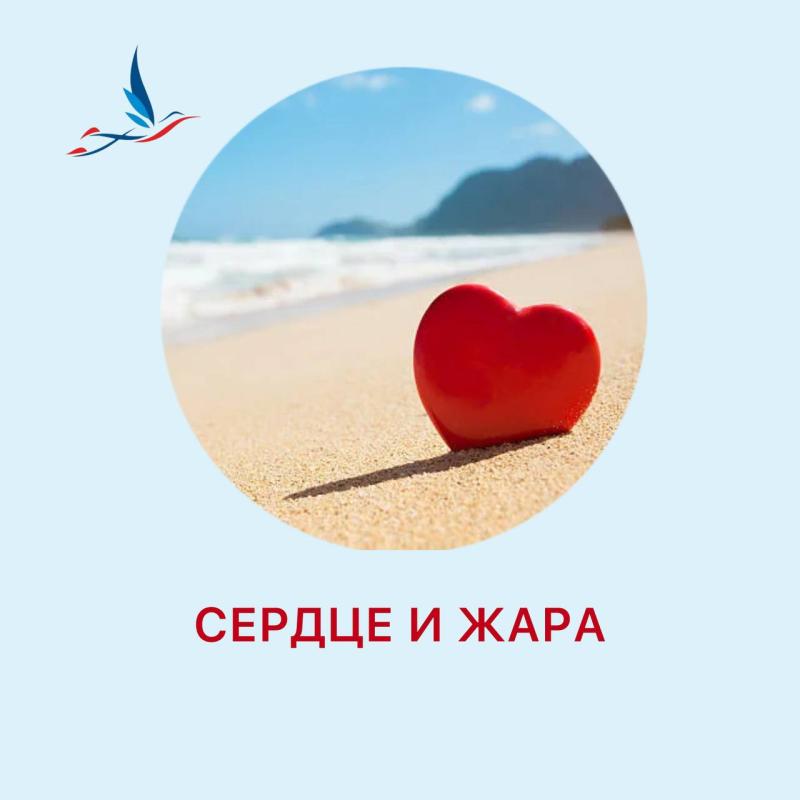 Правила сохранения здоровья сердца в жаркую погоду