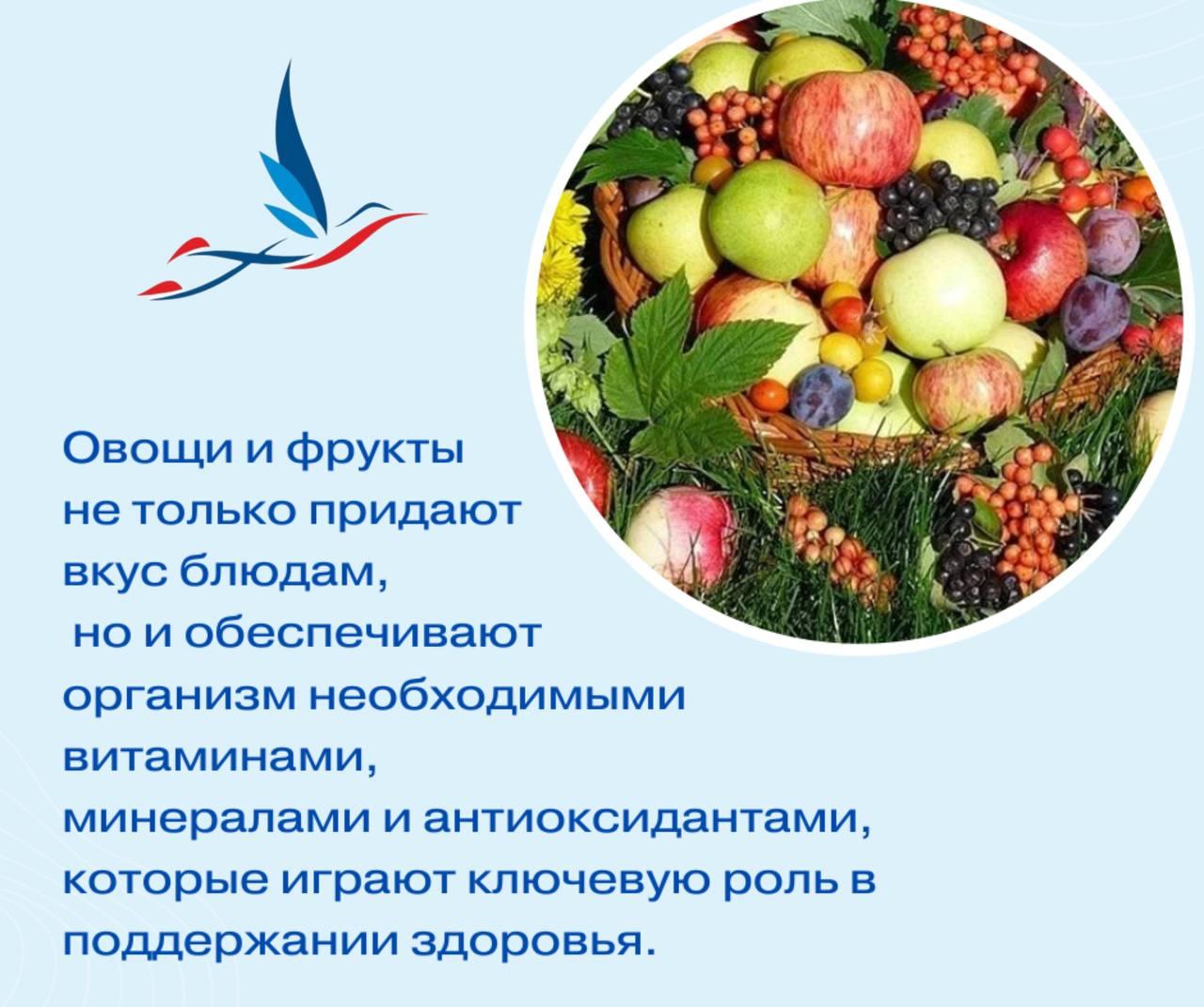 Овощи и фрукты – неотъемлемая часть здорового рациона. Они не только придают вкус блюдам, но и обеспечивают организм необходимыми витаминами, минералами и антиоксидантами, которые играют ключевую роль в поддержании здоровья.