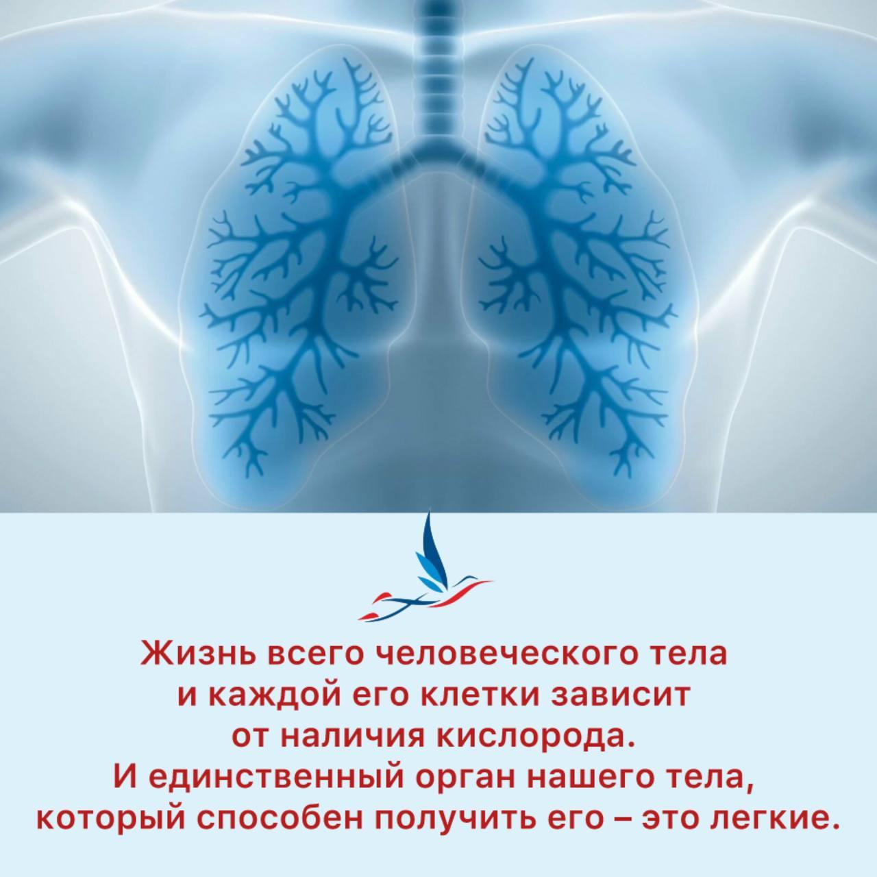 Эта неделя в России посвящена сохранению их здоровья и приурочена к Всемирному дню борьбы с астмой, который отмечается 7 мая.